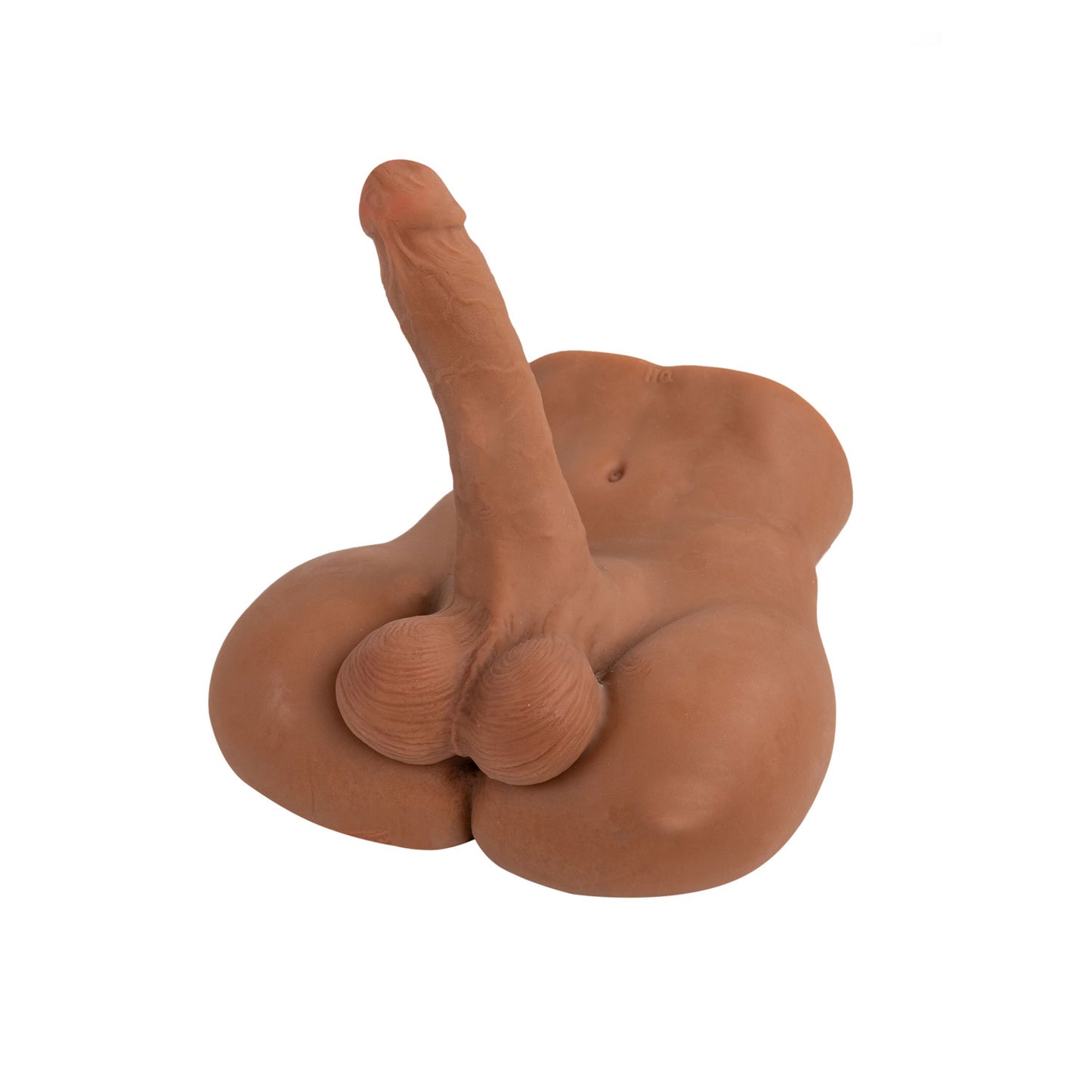 "Raw Realistic Torso Landon CT-JTR-LANDON"