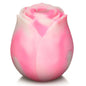 "Bl the Rose Lovers Gift Box - Pink Swirl BL-AH757"